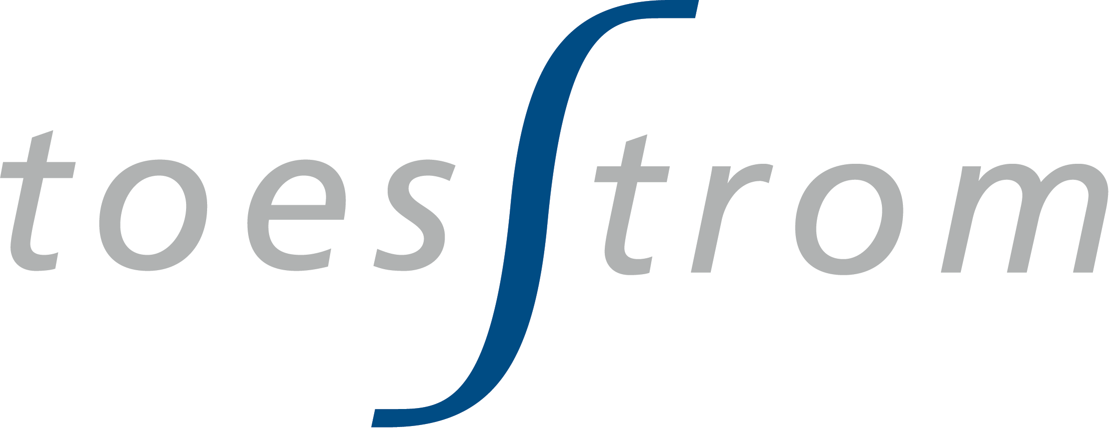 Das Firmen Logo der toesStrom AG